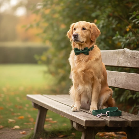 MUTTCO Dog Collar & Bow Tie Set – Adjustable Fabric Collar with Matching Leash - Fur Babies Pet Store