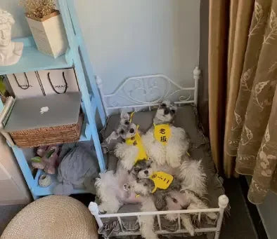 Elevated Pet Hammock Bed – Breathable Four‑Season Raised Cradle for Small Dogs - Fur Babies Pet Store