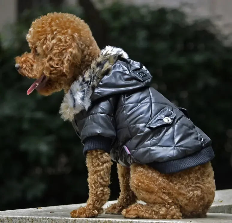 Winter Dog Coat with Fur Collar – Warm Jacket for Small to Large Breeds - Fur Babies Pet Store