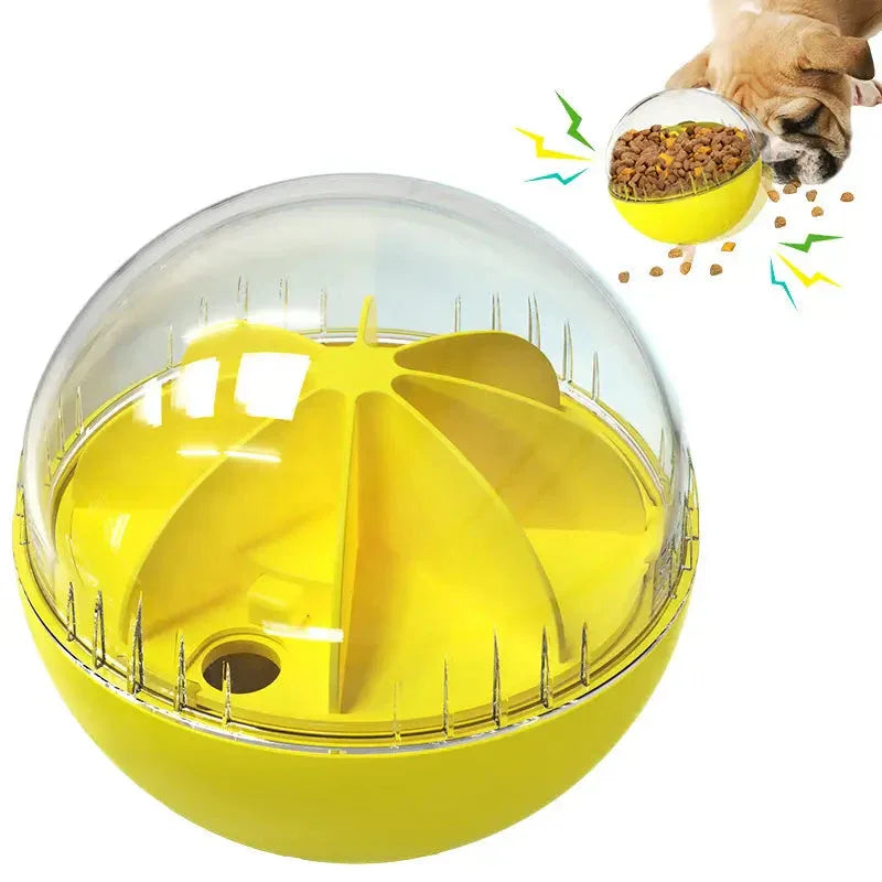 Feeding Time Upgrade Bundle - Fur Babies Pet Store