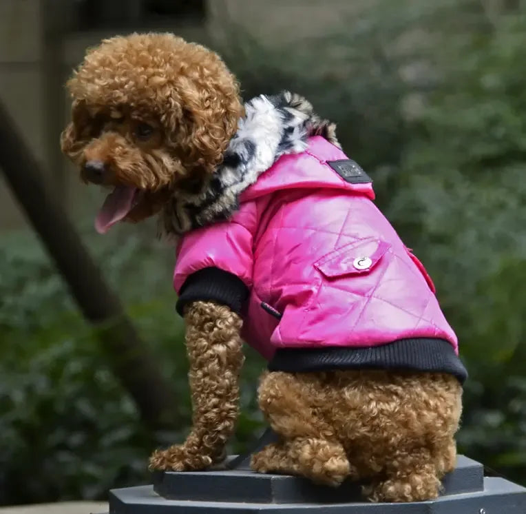 Winter Dog Coat with Fur Collar – Warm Jacket for Small to Large Breeds - Fur Babies Pet Store