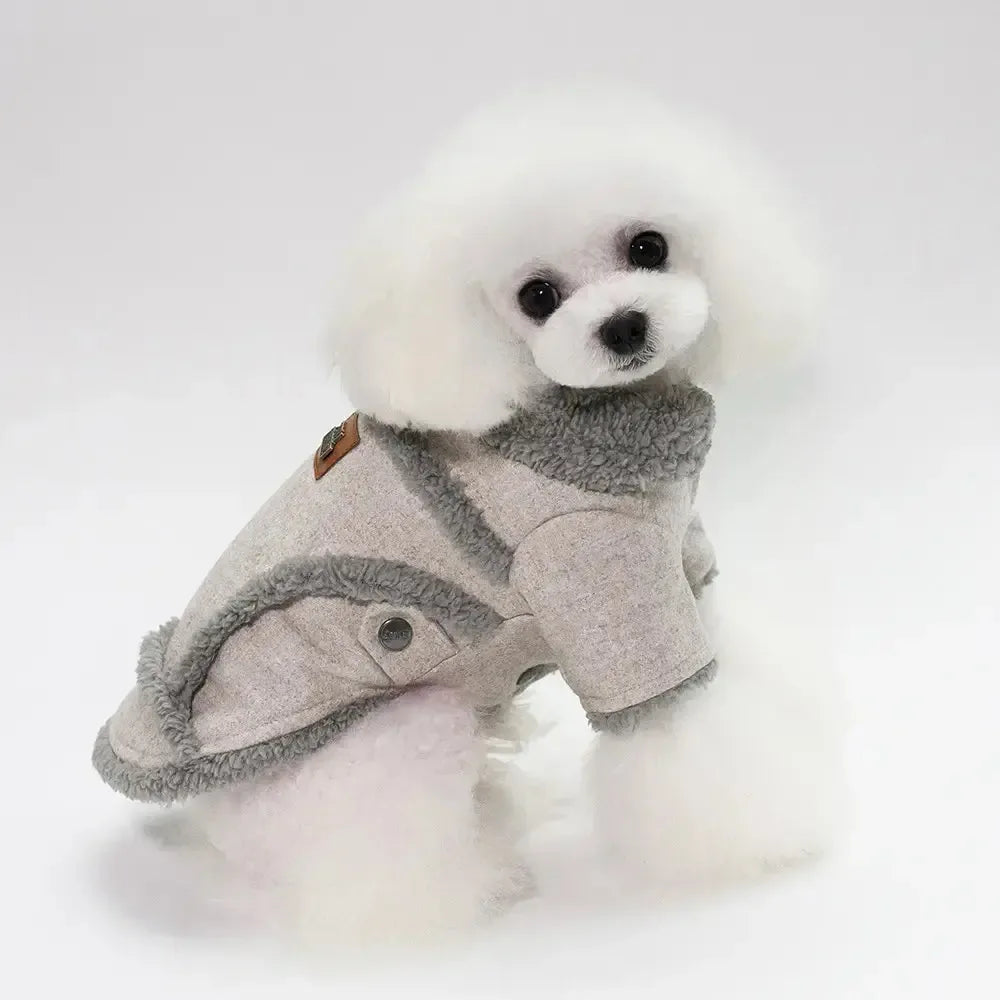 Winter Walk Essentials Bundle - Fur Babies Pet Store