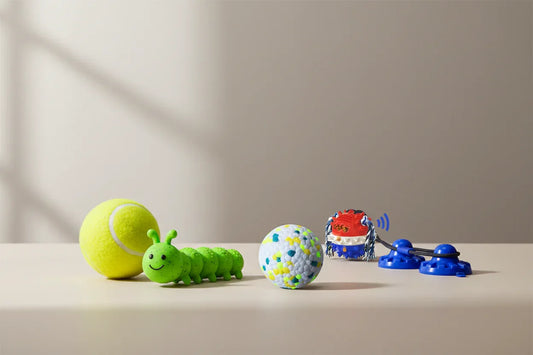 Aggressive Chewer Bundle - Fur Babies Pet Store