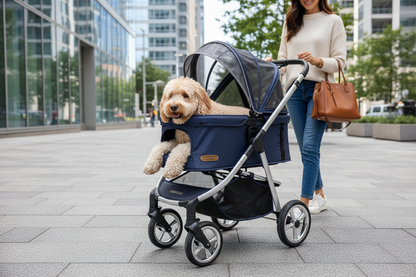 Dog in stroller on city street