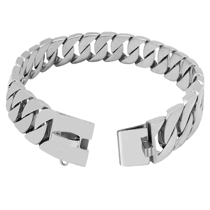 Stainless Steel Dog Chain